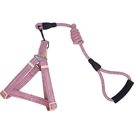 1 ceinture de poitrine pour animal de compagnie (1/3)