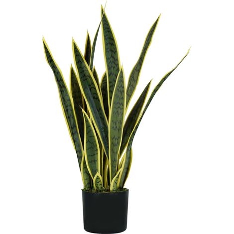 King Home pianta SANSEVIERIA H. 75 cm 21 FOGLIE completa di vaso con muschio