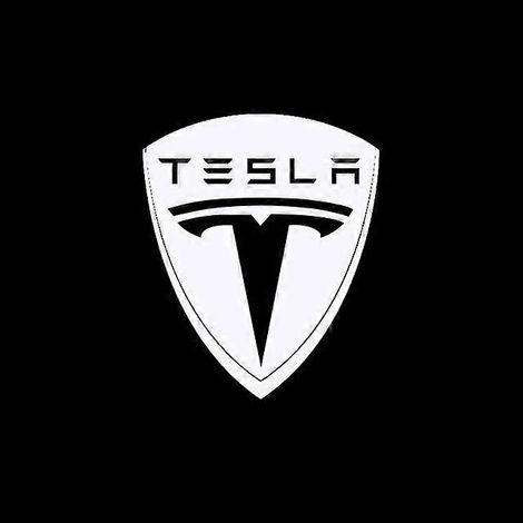 Lot de 2 projecteurs LED pour porte de Tesla, éclairage de bienvenue dédié aux modèles Tesla Model 3 X