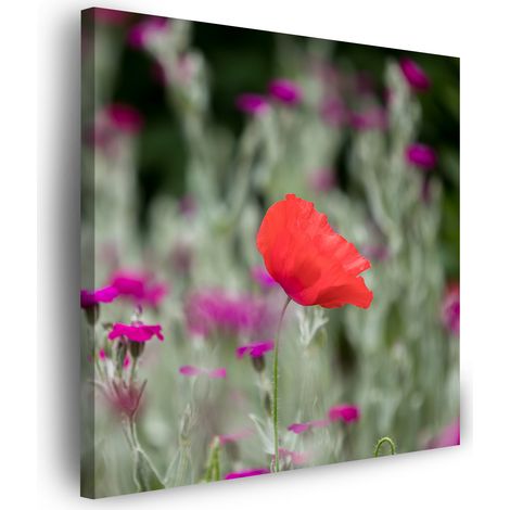 Leinwanddruck Botanik Blumengarten 60x60 cm