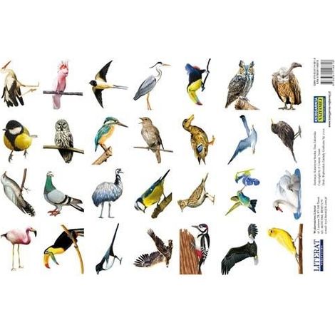 Pegatinas. Pájaros