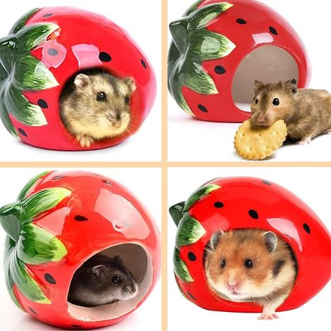 Ceramic Strawberry Hamster House Hamster Chinchilla (1/4)