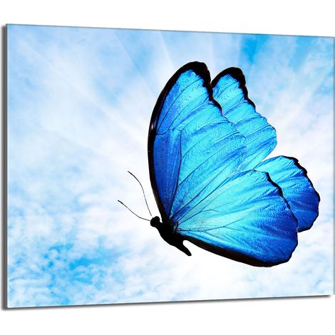 Plaque de protection en verre pour poêle 60x52 Butterfly (1/5)