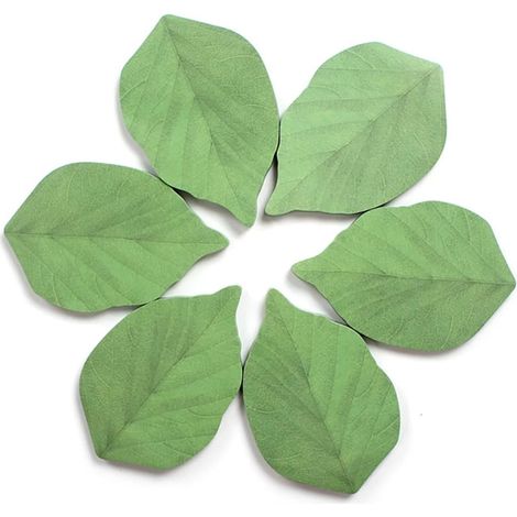 Bloc-notes adhésif en forme de feuille (6 blocs de 50 feuilles chacun)