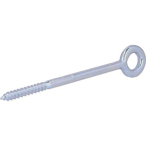 Fischer 25x anneau d'échafaudage GS 12 x 300 - 081269
