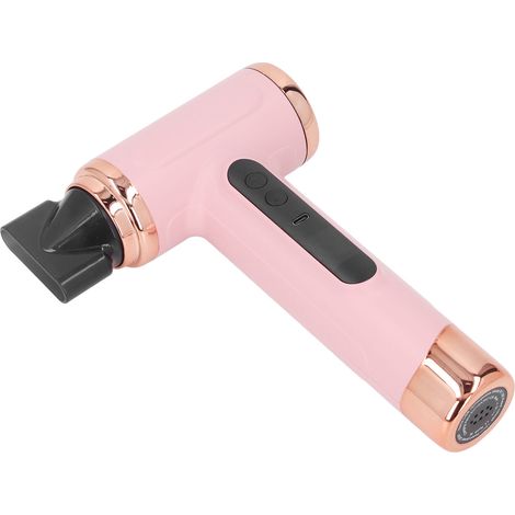 Sèche-cheveux portable multifonctionnel pour animaux de compagnie, utilisable sur cheveux secs ou mouillés, 200 W, couleur rose. (1/5)