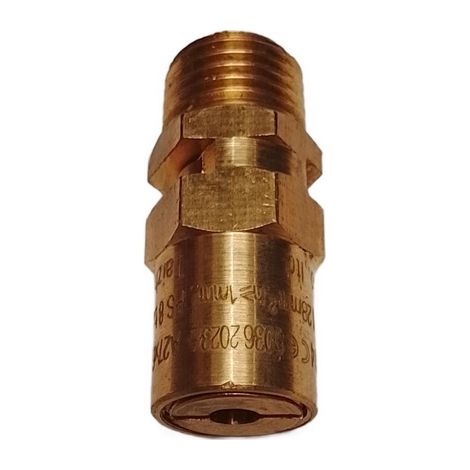 Valvula Seguridad para compresor compatible con Daac100C