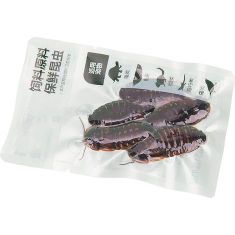 Nourriture pour blattes Dubia : nutritive, sûre et saine, conditionnée sous vide. Convient aux reptiles, poissons et oiseaux. (1/5)