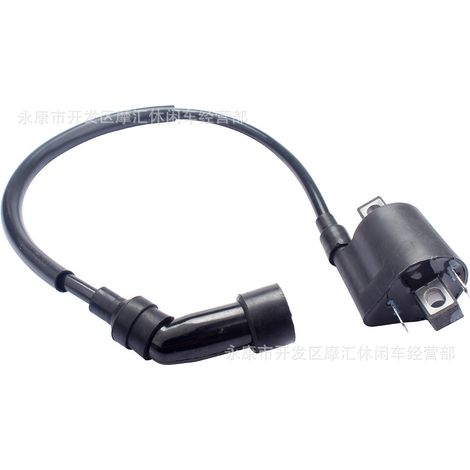 Motorcycle compatible Bli BJ125-3E BJ125-3 125cc TNT 125 135 high voltage coil ignition coil (1/5)