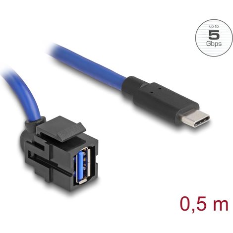Delock Módulo Keystone USB 5 Gbps A hembra a USB Type-C⢠macho con cable
