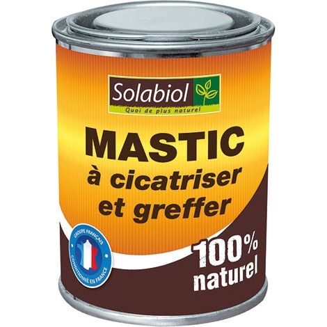 Mastice per cicatrizzare e innestare 150g - Solabiol