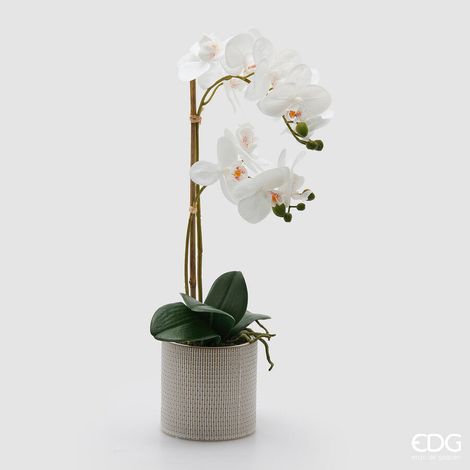 EDG Enzo De Gasperi Orchidea Phalaenopsis x2 con Foglie e Vaso H 51 Cm Pianta Artificiale Bianco (1/4)