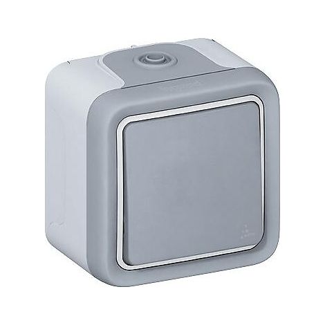Poussoir à voyant NO+NF 6A Plexo 66 Monobloc Gris IP66/IK08