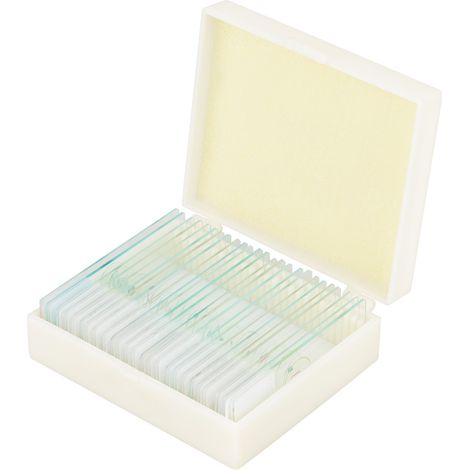 25pcs Biology Glass Prepared Microscope Slides Lab Specimens With Box