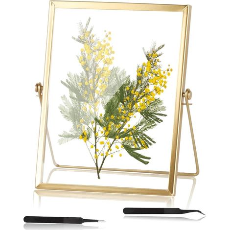 Cadre Transparent, 15x20cm Cadre Photo Doré, Cadres en Verre pour Fleurs Pressées, Cadre Photos Flottant Transparent pour Affiches Photos Certificats Décoration Table Murale (1/5)