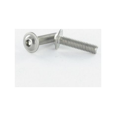Vis métaux Tête bombée Embase collerette TORX T25 M5X20 Classe 10.9 Acier zingué - 10 pièces (1/4)