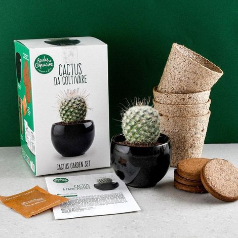 Garden set - Cactus zen (1/4)