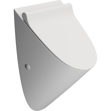 Urinoir COMMUNITY à entrée arrière avec trous pour couvercle, sans rebord, 31x54,5cm, blanc mat (1/3)