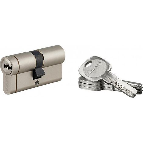 Cilindro europeo Transit 1 30 x 30 mm, nichelato, 6 perni, 5 chiavi – THIRARD (1/2)