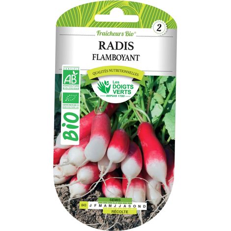 Graines de radis flamboyant BIO Les Doigts Verts