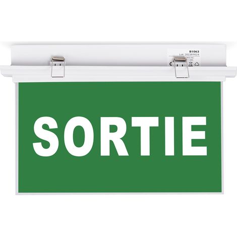 Bloc autonome d'éclairage de sécurité avec pictogramme (1/5)