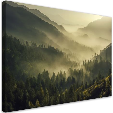 Tableau sur toile Paysage de forêt brumeuse 90x60 (1/5)