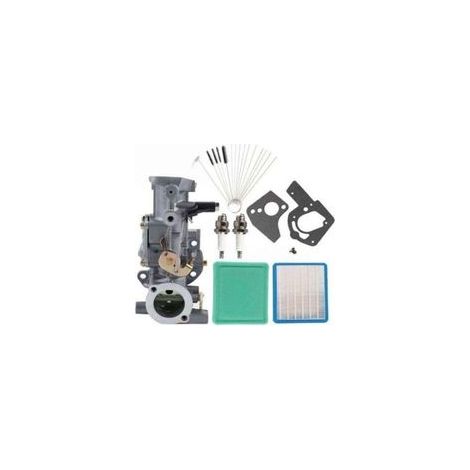 498298 Vergaser für Briggs & Stratton 692784 495951 495426 112202 112232 134202 137202 133212 130202 5 PS