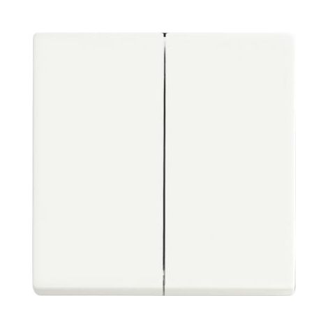 BUSCH-JAEGER 1785-884 PLAQUE DE RECOUVREMENT, COMMUTATEUR MULTIPLE, COMMUTATEUR INVERSEUR DOUBLE, BOUTON-POUSSOIR DOUBLE, BLANC (1/2)