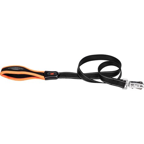 Laisse pour Chien Taille Moyenne, Mousqueton avec mécanisme magnétique, Poignée rembourrée, Nylon. Taille 120 cm, Orange (1/5)