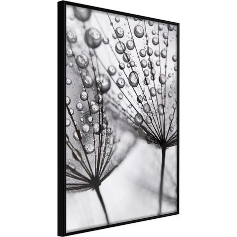 Affiche Murale Encadrée "Dew in the Macro Scale" 21 x 30 cm Noir