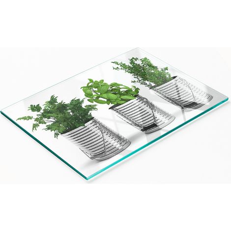 Tableau en verre résistant et élégant à motif de plantes aromatiques 80x52 cm (1/5)