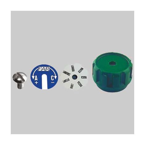 KIT COMPLETO VOLANTINO DISCHI PER COLLETTORI FAR FAR