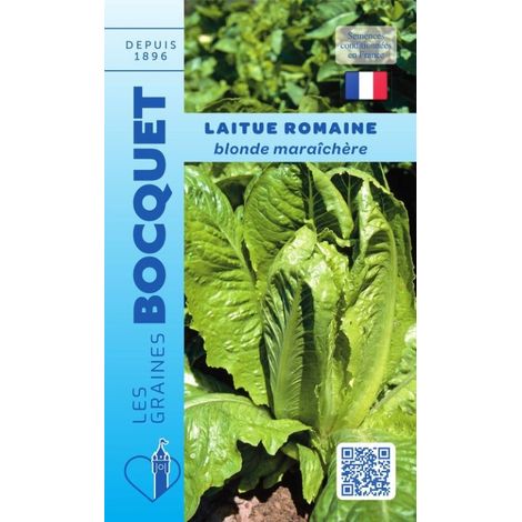 Laitue romaine Blonde maraîchère - 4g
