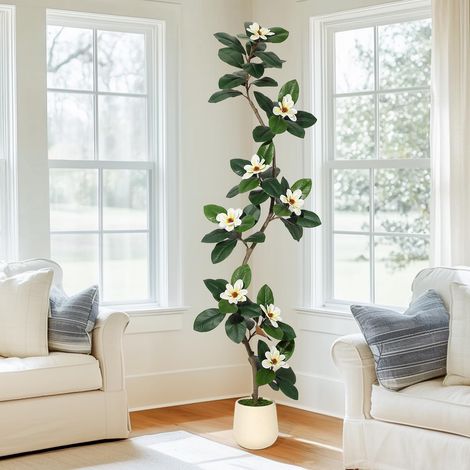 Arbre caoutchouc & magnolia 213 cm – 8 fleurs magnolia, pot blanc – Très grand modèle – Pièce volumineuse (1/5)