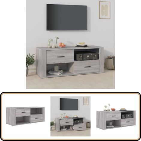 Meuble TV Sonoma gris 100x35x40 cm Bois d'ingénierie - Meubles Tv - Meuble Tv - Support Tv - Unité Tv - Meuble Audio