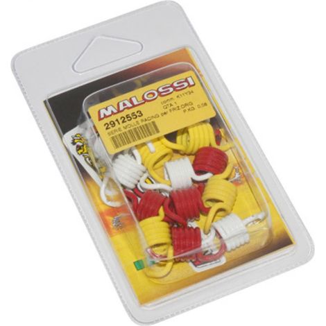 Ressort d embrayage Malossi pour Moto Honda 600 Silver Wing 2003 (1/2)