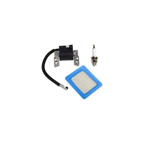 Bobine Ignition avec Filtre à air 491588 491588S pour Moteur Briggs & Stratton Compatible with 695711 802574 493237 796964 492416.