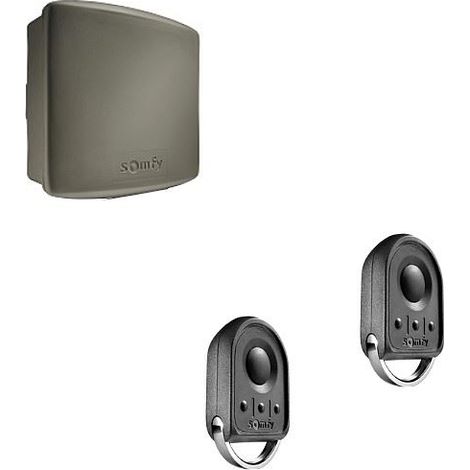 Somfy – Récepteur radio étanche RTS pour motorisation – Kit avec 2 télécommandes Keygo – Commande jusqu'à 2 automatismes – Mémorise 16 canaux