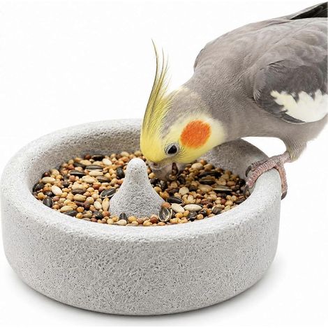 Mangeoire à oiseaux en pierre ponce bol texturé 15 cm 1 unité (1/4)