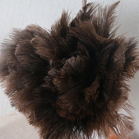 Plumeau en plumes d'autruche - 40 cm de long - Manche en bois (1/5)