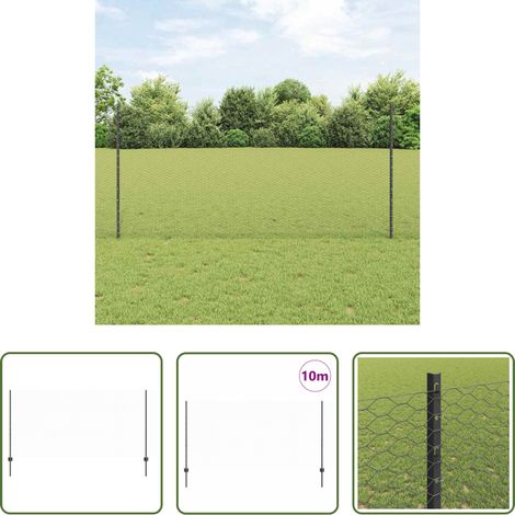 Clôture en acier -  Clôture avec poteau Gris 1,2 x 10 m Acier et PVC (1/5)