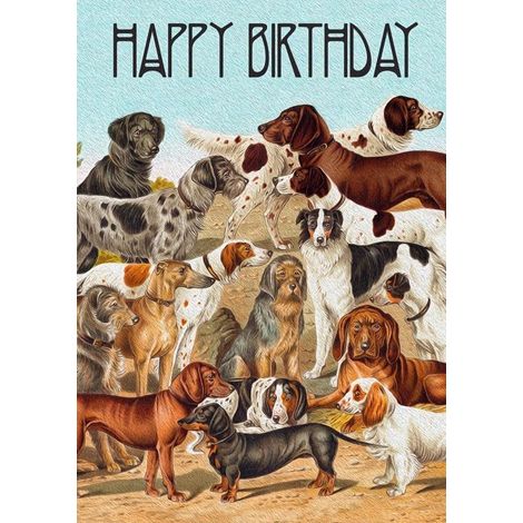 Biglietto B6 con busta Compleanno Cani