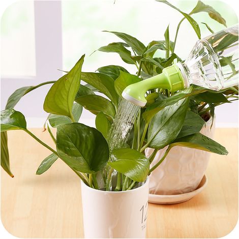 Arrosoir - Plastique - Bec Verseur Fin - Pour Plantes D’intérieur Et Succulentes - 500 ml - 1 Pièce (1/5)