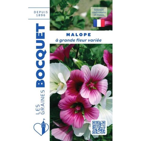 Malope à grande fleur variée - 2g