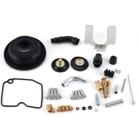 Carburetor rebuild kit for Kawasaki Vulcan VN800/VN400 (1/5)