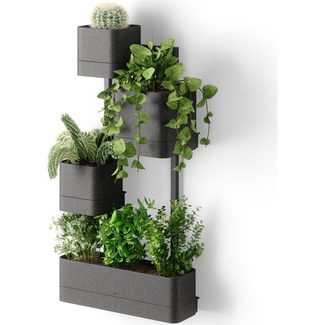 Jardinière Murale, Pot géométrique en métal, Noir (1/5)