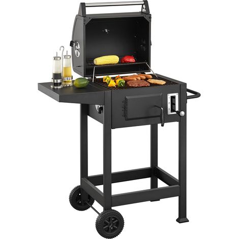 Griglia a carbone BBQ Missouri (1/5)