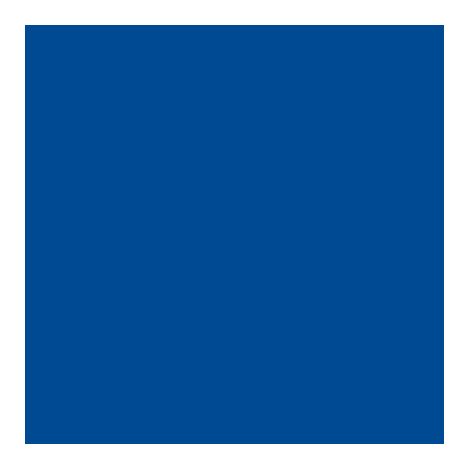 1KG-bleu-Peinture temporaire naturelle pour sol extérieur (1kg/5m2) Natura