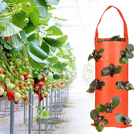 sacs de culture suspendus pour fraises, tomates, légumes, herbes, fleurs, culture verticale en intérieur et en extérieur (1/5)