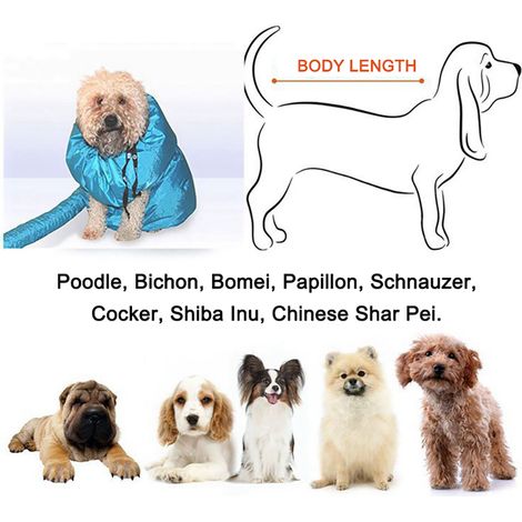 Sèche-animal, sac sécheur pour chien chat, souffleur automatique de poils après bain, sèche-cheveux pour chien et chat (1/5)